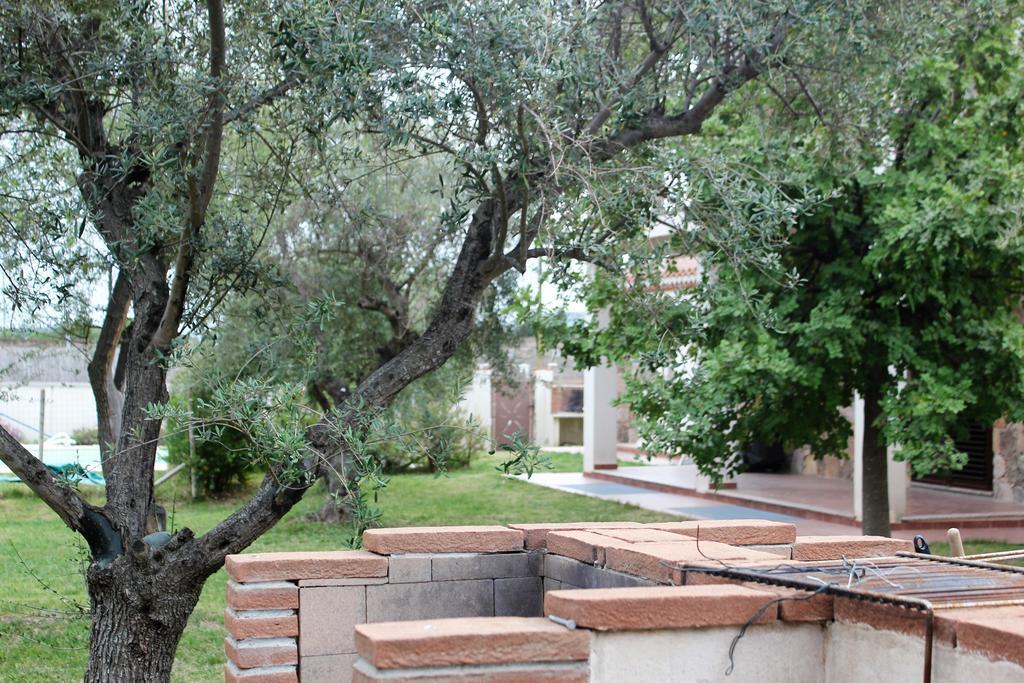 Oleandro Apartment Lotzorai Exterior photo
